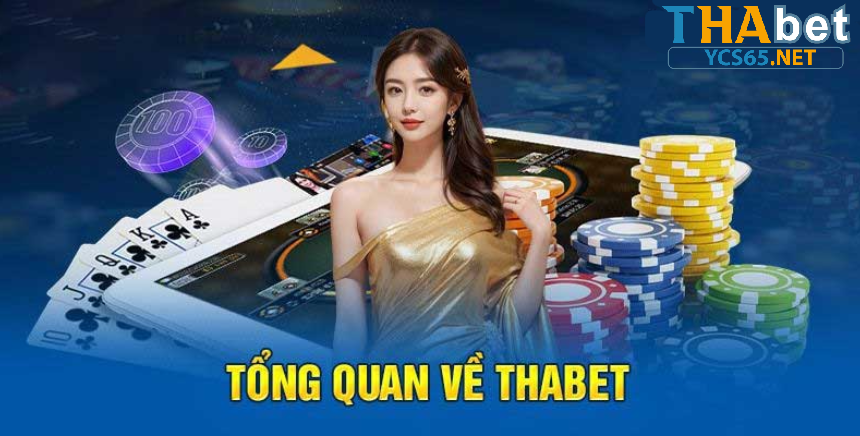 YCS65.NET là gì?