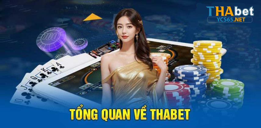 YSC65 là gì - đường link vào Thabet uy tín YSC65.NET