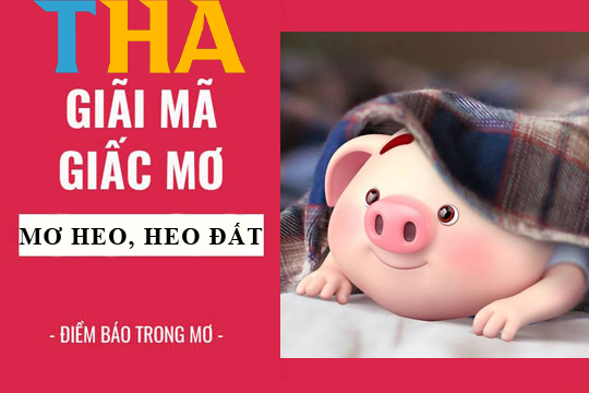 Cùng Thabet – YCS65.NET – Giải mã giấc mơ thấy lợn đánh con gì